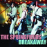 The Springfields