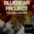 Bluebear Project