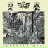 Furze