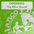 Experience