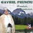 Gavriil Prunoiu
