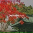 DeKobe