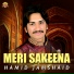 Hamid Jamshaid