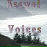 Asswel