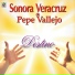 Sonora Veracruz de Pepe Vallejo