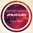 Sentinel Groove