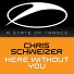 Chris Schweizer