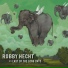 Robby Hecht