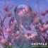 Digitalz