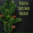 The Merry Christmas Players, Christmas Songs Music