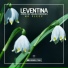 Leventina