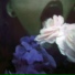 Compages