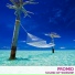 Promid