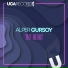 Alper Gursoy