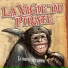 La Vigie du Pirate