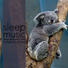 Easy Sleep Music, Sleep Music Dreams