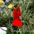 Sarah Jones
