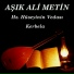 Aşık Ali Metin