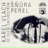Karel Vlach, Orchestr Karla Vlacha