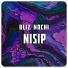 Bliz Nochi feat. Amali Sadreev