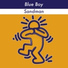 The BlueBoy