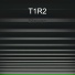 T1R2