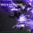 Amind Two Guys