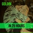 Goldin