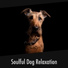 Calming Doggy Relaxation