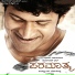 Tippu