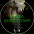 Noseda