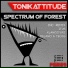 Tonikattitude