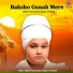 Baba Parampreet Singh Ji Khalsa