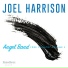 Joel Harrison feat. David Binney, Uri Caine