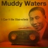 [muzmo.ru] Muddy Waters, Sunnyland Slim
