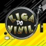 Liga do Vinil