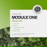 Module One