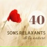 Musique d Ambiance Series