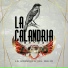 Banda Lirio