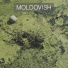 Moldovish