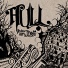 Hull
