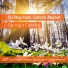 DJ Rigi feat. Cemre Akcam feat. Cemre Akcam