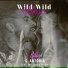 Lotus & Antonia feat. Jay Sean & Pitbull