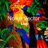 Noise Vector
