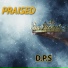 D.P.S