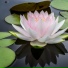 reiki tribe, The Sleep Helpers, Bedtime Baby