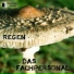 Das Fachpersonal