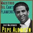 Pepe Albaicín