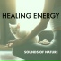 The Healing Guru