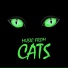 Cats The Musical